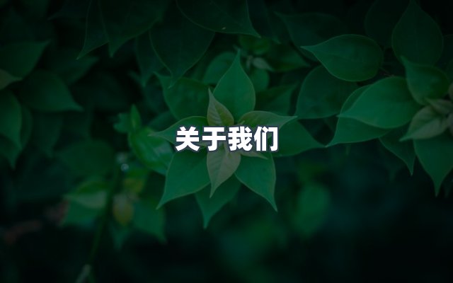 团队合作